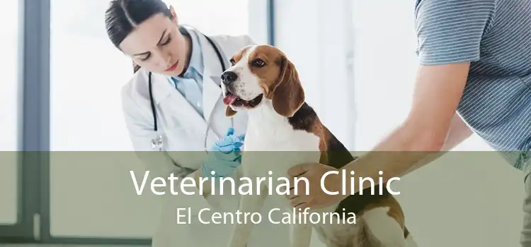 Veterinarian Clinic El Centro California