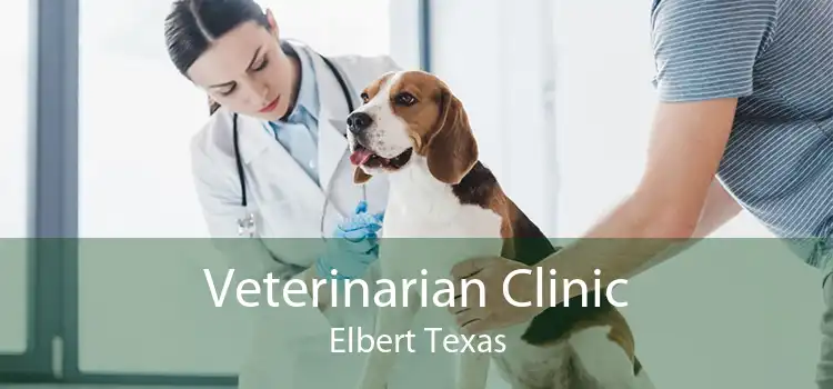 Veterinarian Clinic Elbert Texas