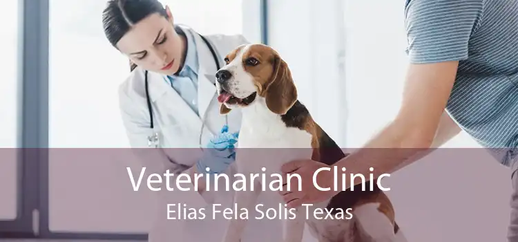 Veterinarian Clinic Elias Fela Solis Texas