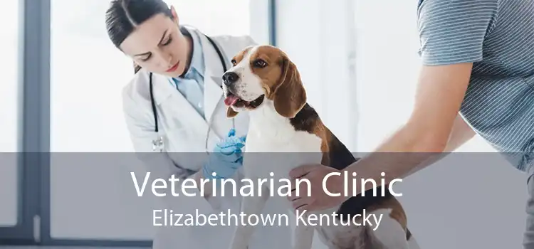 Veterinarian Clinic Elizabethtown Kentucky