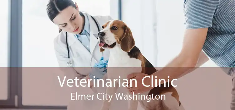 Veterinarian Clinic Elmer City Washington