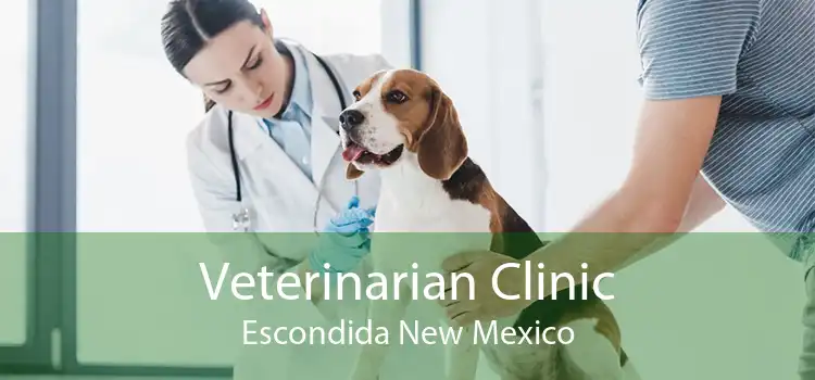 Veterinarian Clinic Escondida New Mexico