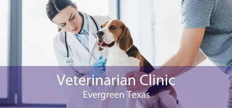 Veterinarian Clinic Evergreen Texas