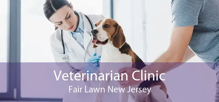 Veterinarian Clinic Fair Lawn New Jersey