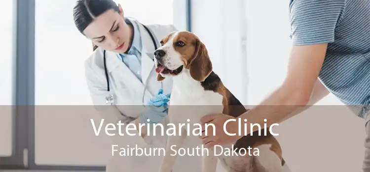 Veterinarian Clinic Fairburn South Dakota