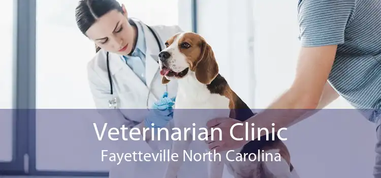 Veterinarian Clinic Fayetteville North Carolina