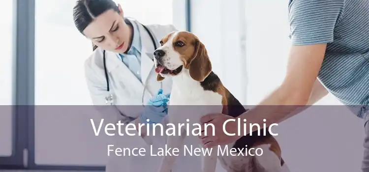 Veterinarian Clinic Fence Lake New Mexico