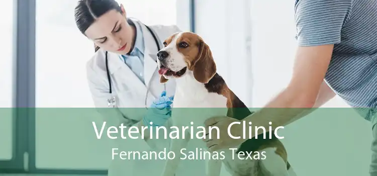 Veterinarian Clinic Fernando Salinas Texas
