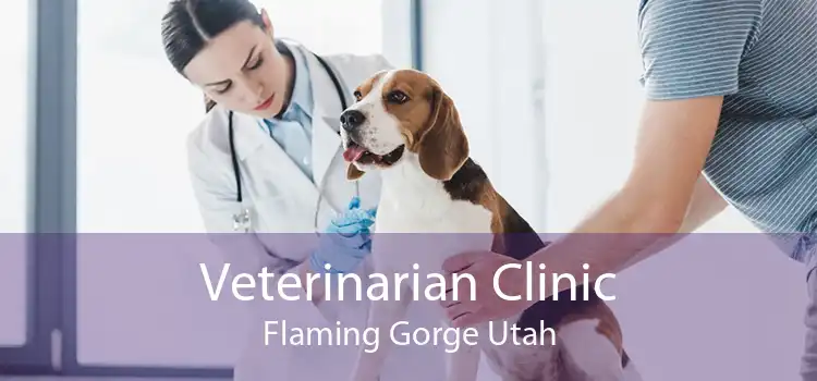 Veterinarian Clinic Flaming Gorge Utah