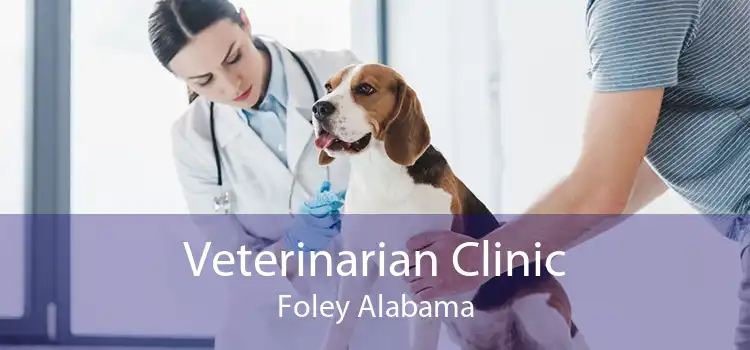 Veterinarian Clinic Foley Alabama