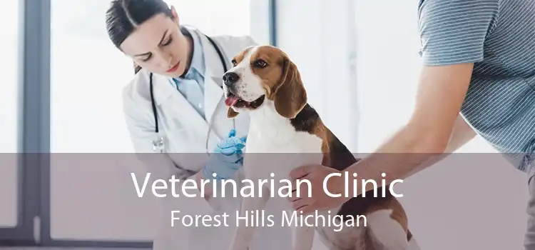 Veterinarian Clinic Forest Hills Michigan