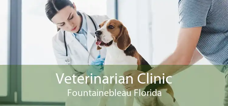 Veterinarian Clinic Fountainebleau Florida