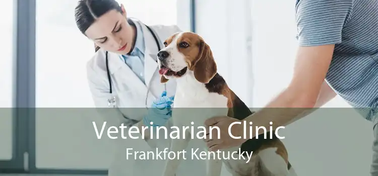 Veterinarian Clinic Frankfort Kentucky
