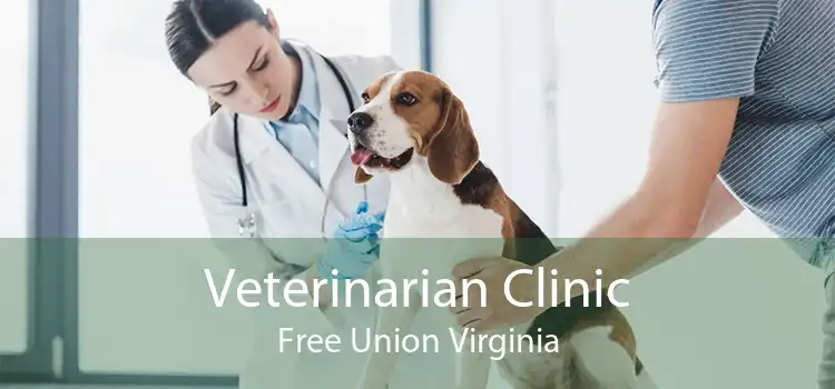 Veterinarian Clinic Free Union Virginia
