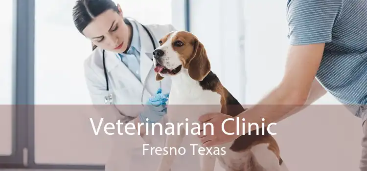 Veterinarian Clinic Fresno Texas