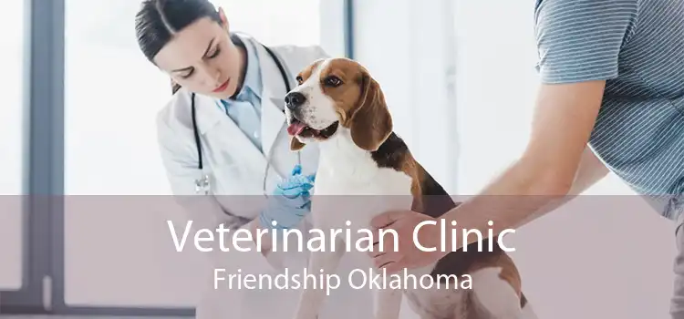 Veterinarian Clinic Friendship Oklahoma
