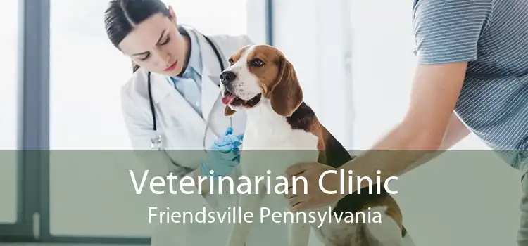 Veterinarian Clinic Friendsville Pennsylvania