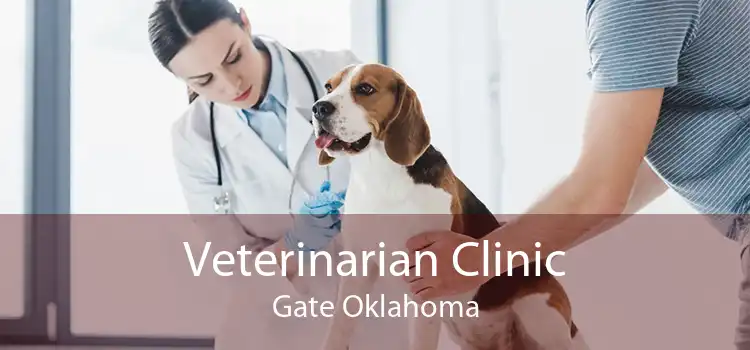Veterinarian Clinic Gate Oklahoma