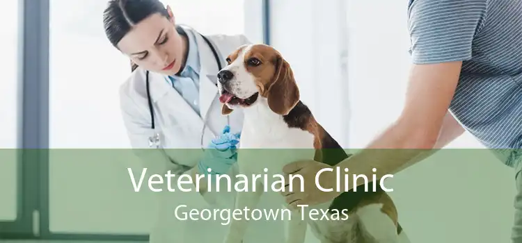 Veterinarian Clinic Georgetown Texas