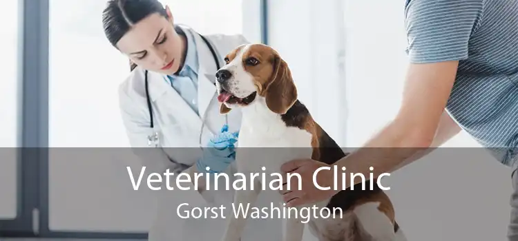 Veterinarian Clinic Gorst Washington