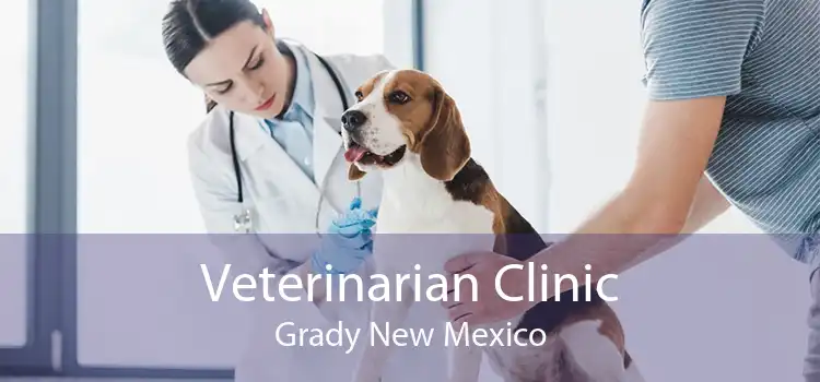 Veterinarian Clinic Grady New Mexico
