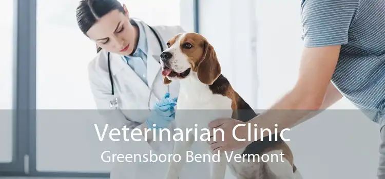 Veterinarian Clinic Greensboro Bend Vermont