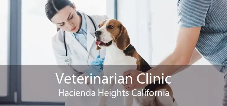 Veterinarian Clinic Hacienda Heights California