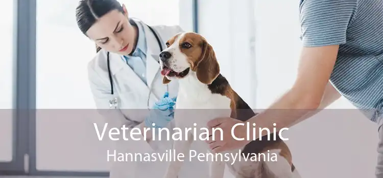 Veterinarian Clinic Hannasville Pennsylvania