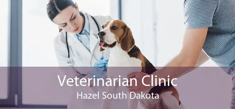 Veterinarian Clinic Hazel South Dakota