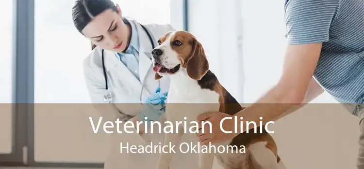 Veterinarian Clinic Headrick Oklahoma