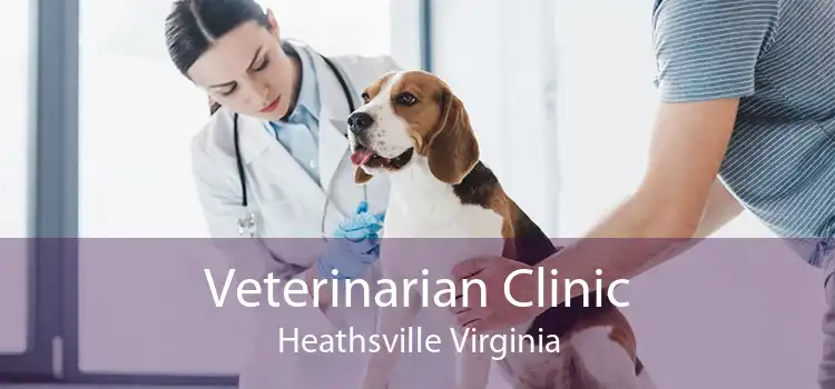 Veterinarian Clinic Heathsville Virginia