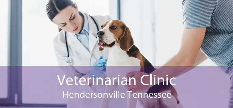 Veterinarian Clinic Hendersonville Tennessee
