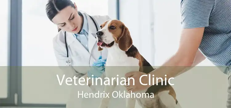 Veterinarian Clinic Hendrix Oklahoma