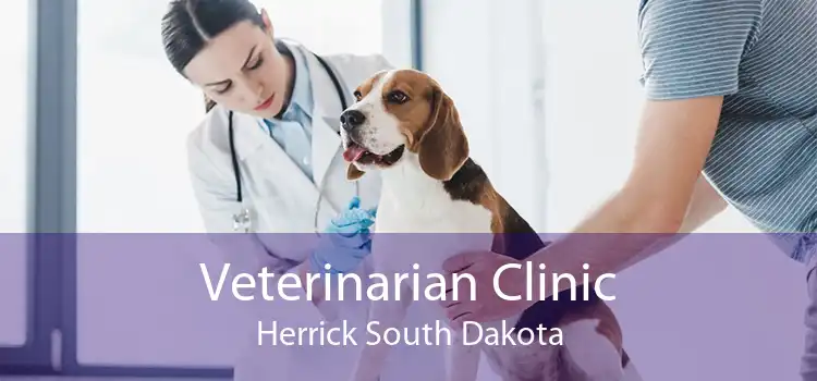 Veterinarian Clinic Herrick South Dakota