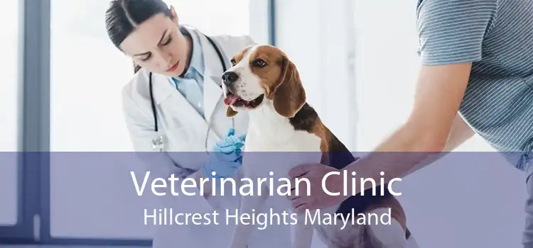 Veterinarian Clinic Hillcrest Heights Maryland