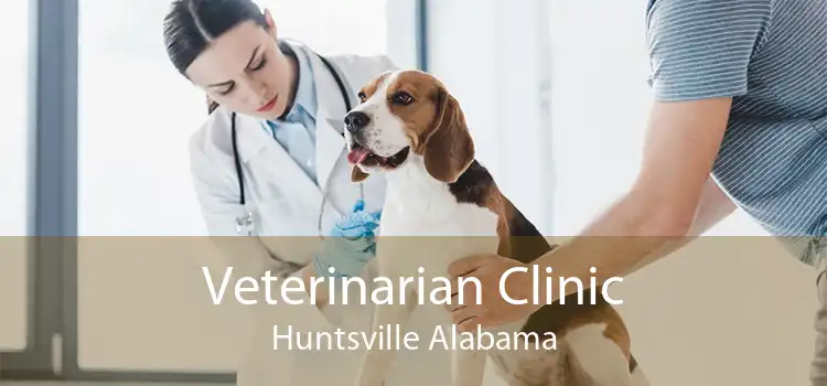 Veterinarian Clinic Huntsville Alabama