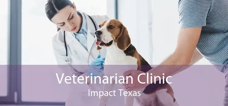 Veterinarian Clinic Impact Texas