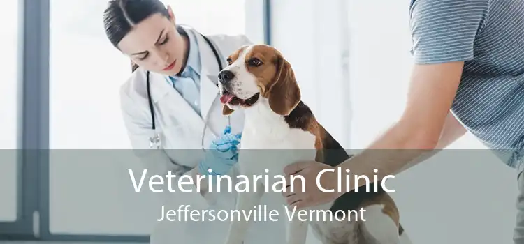 Veterinarian Clinic Jeffersonville Vermont