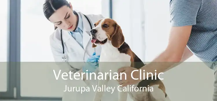 Veterinarian Clinic Jurupa Valley California