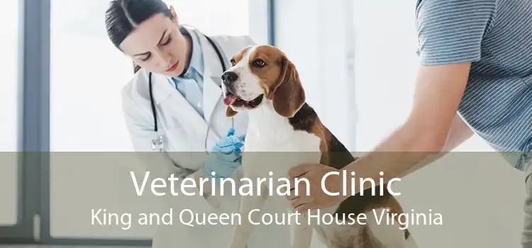 Veterinarian Clinic King and Queen Court House Virginia