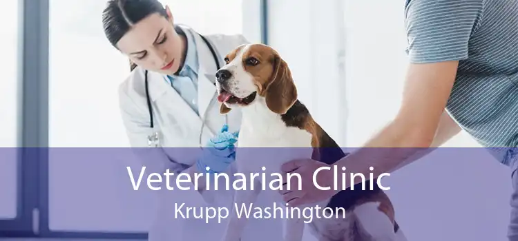 Veterinarian Clinic Krupp Washington