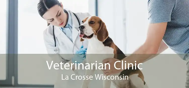 Veterinarian Clinic La Crosse Wisconsin