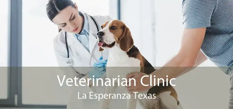 Veterinarian Clinic La Esperanza Texas