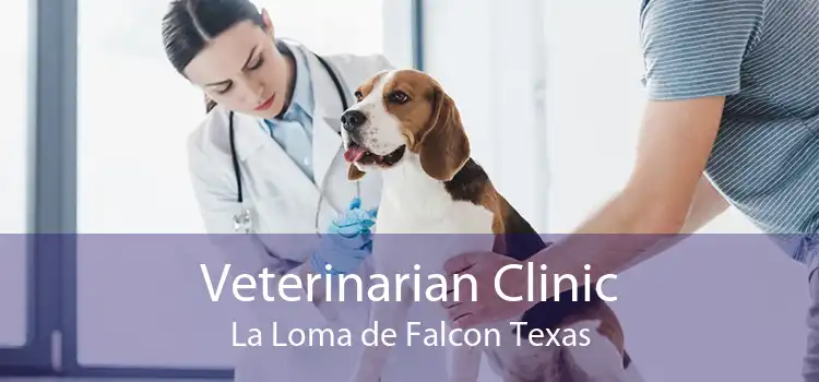 Veterinarian Clinic La Loma de Falcon Texas