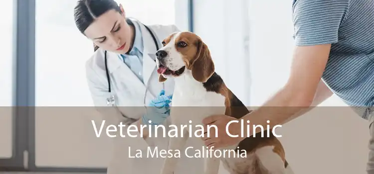 Veterinarian Clinic La Mesa California