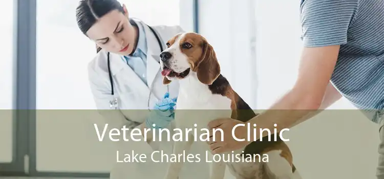 Veterinarian Clinic Lake Charles Louisiana