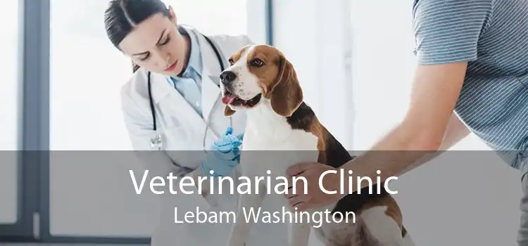 Veterinarian Clinic Lebam Washington