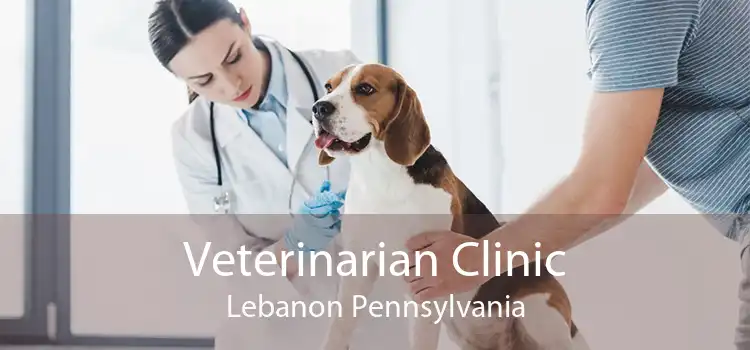 Veterinarian Clinic Lebanon Pennsylvania