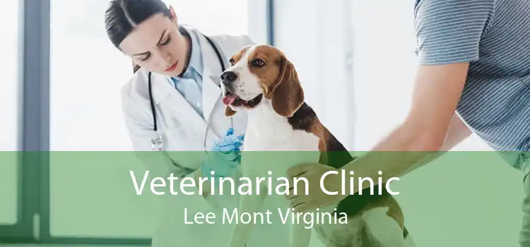 Veterinarian Clinic Lee Mont Virginia