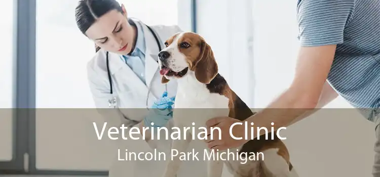 Veterinarian Clinic Lincoln Park Michigan